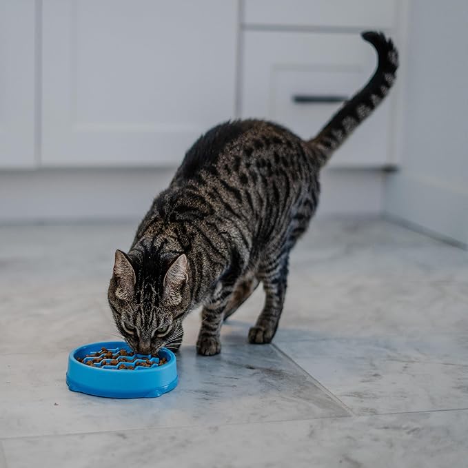 Catstages Kitty Slow Feeder Bowl for Cats & Small Dogs, Puzzle Dish for Fast Eaters, for Wet or Dry Food, Helps Slow Eating & Aid Digestion, Non-Slip, Made Without BPA, 3/4 Cup, 5-Inch, Blue