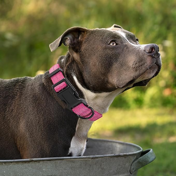 Mile High Life Dog Collar | Nylon Reflective Dog Collars | Light Weight Puppy Collars | Pink Dog Collars for Small Dogs (Solid Pink, Small)