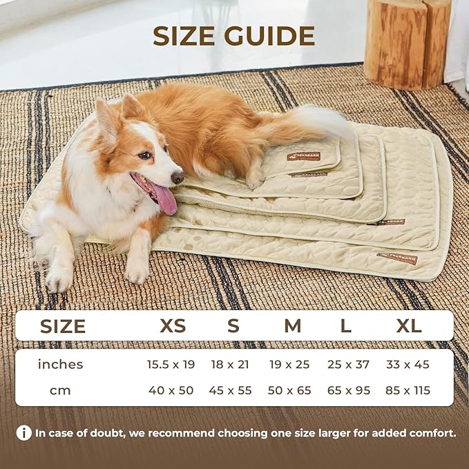 Pelsbarn Dog Cooling Mat- Ice Silk Summer Comfort, Self Cooling, Non-Slip Dog Pad, Durable & Washable, Mat for Medium Dogs 19"" x 25"", Support Shelter Dogs with Every Purchase (Beige)