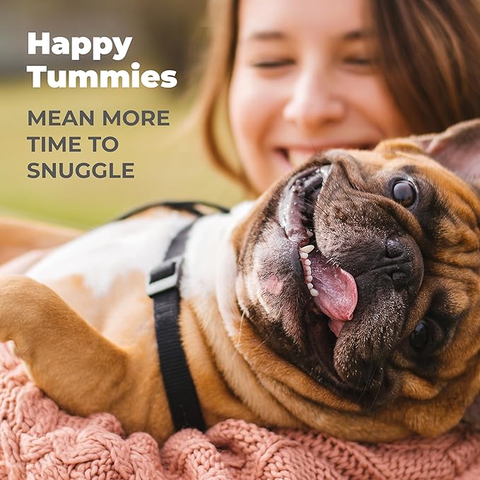 Vetnique Glandex Daily Probiotics for Dogs with Prebiotics to Support Gut Health with Fiber and Digestive Enzymes, Probiotic Chews or Powders (30ct Chews, Bacon Chews)