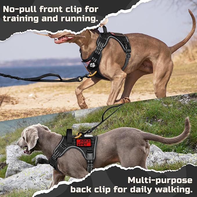 rabbitgoo Tactical Dog Harness Medium Sized Dog, No Pull Military Service Vest with Handle & Molle, Easy Control for Training Walking, Adjustable Reflective Straps, Black, M
