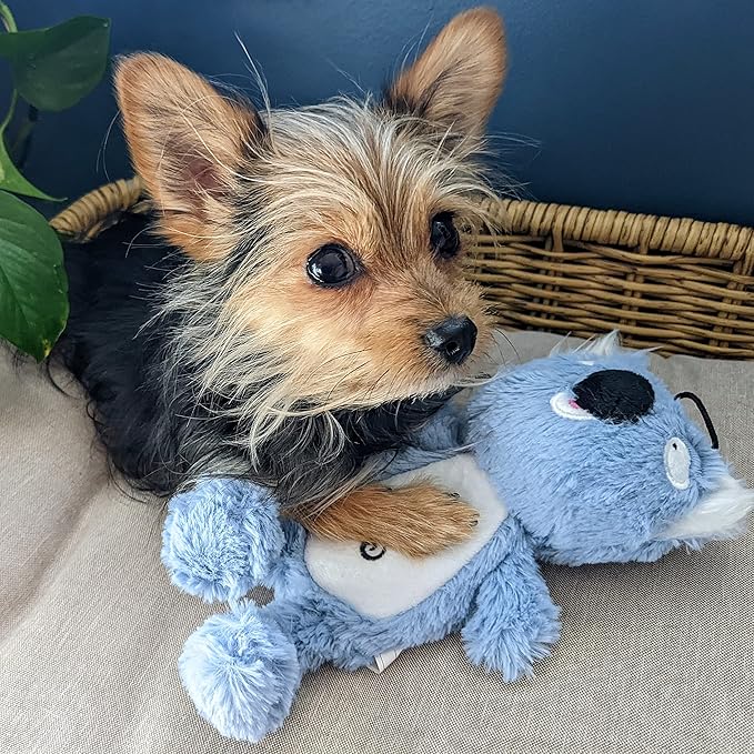 Huxley & Kent Slappies for Dogs | Kirby Koala (Small) | Squeak & Shake Dog Toy | No Stuff Squeaky Toy, TPR Ball in Head | Simulates Hunting Nature for Dogs
