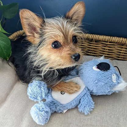 Huxley & Kent Slappies for Dogs | Kirby Koala (Small) | Squeak & Shake Dog Toy | No Stuff Squeaky Toy, TPR Ball in Head | Simulates Hunting Nature for Dogs