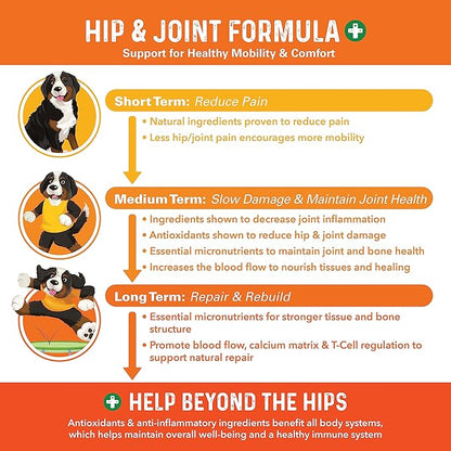 Bernie's Healthy Hips - Daily Dog Hip & Joint Supplement - 90 Soft Chews - Reduce Pain, Encourage Mobility, Slow Damage, Repair and Rebuild Hips & Joint Tissues