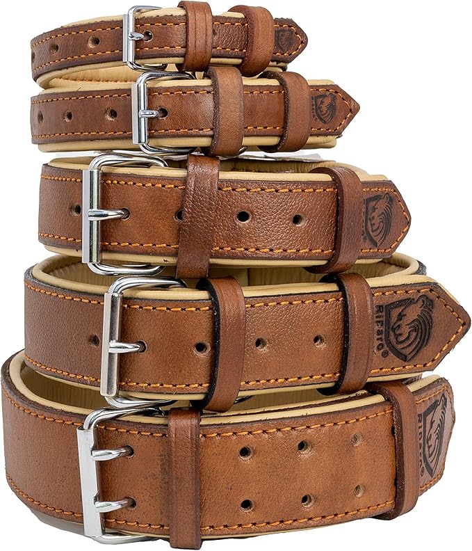 Riparo Genuine Leather Padded Dog Heavy Duty K-9 Adjustable Collar (L: 1.5" Wide for 17"-21" Neck, Black/Orange Thread)