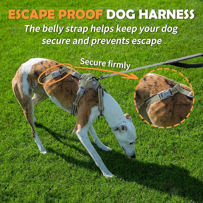 Huntboo Escape Proof Dog Harness – No Pull, No Slip, Fully Reflective, Adjustable 7-Point Design for Small, Medium, and Large Dogs – Lightweight for Outdoor Training & Hiking (Army Green, M)