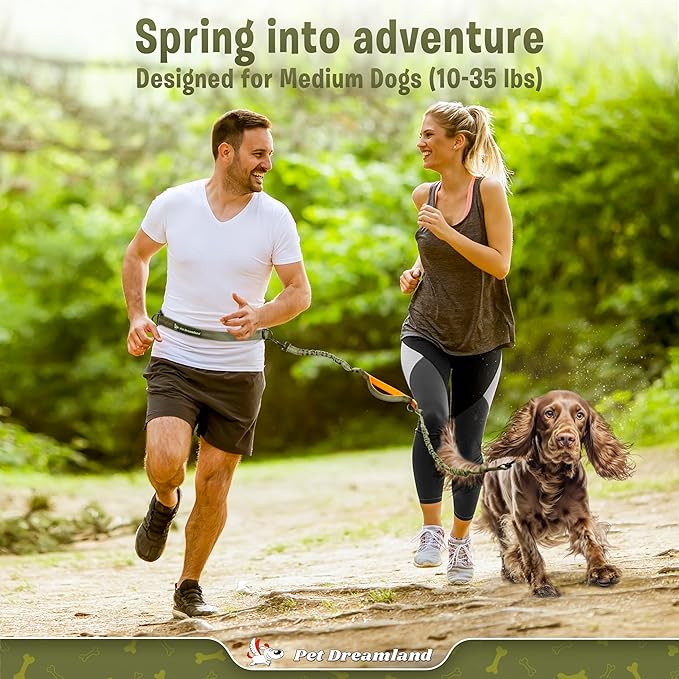 Exquisite Hands-Free Leash for Medium Dogs: Perfect for Active Pet Owners Comfortable, Durable & Ideal for Running, Walking, Hiking. Premium Dog Waist Leash with Bungee. Must-Have Dog Gear