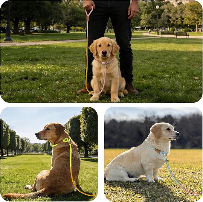 3-Pack Lightweight Adjustable Nylon Dog leashes Leather Buckles Macaron Dog leashes for S/M Dogs,5.2ft Long,White Ultra-Soft eco-Cotton Lining,No Collar Needed