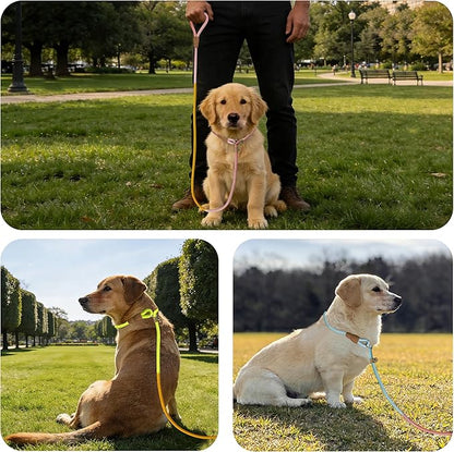 3-Pack Lightweight Adjustable Nylon Dog leashes Leather Buckles Macaron Dog leashes for S/M Dogs,5.2ft Long,White Ultra-Soft eco-Cotton Lining,No Collar Needed