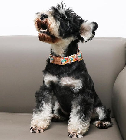 Unique style paws Dog Collar Metal Buckle Gift for Small Medium Large Boys Girls Dogs orange