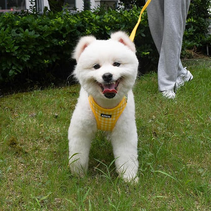 AIITLE Easy Walk Dog Vest Harness and Leash Set, Pet Supply No Pull, Breathable Mesh, Reflective Stripes, Adjustable Escape Proof Pet Outdoor Harnesses for Medium Dogs Yellow L