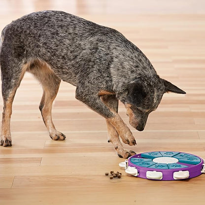 Outward Hound by Nina Ottosson Dog Twister – Interactive Treat Puzzle Enrichment Toy, Level 3 Advanced