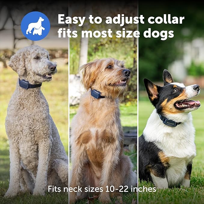 PetSafe Basic Dog Trainer with Remote - Effective Dog Training - 15 Levels of Static Correction - Waterproof Collar - Rechargeable Training Collar - Compact Remote Transmitter