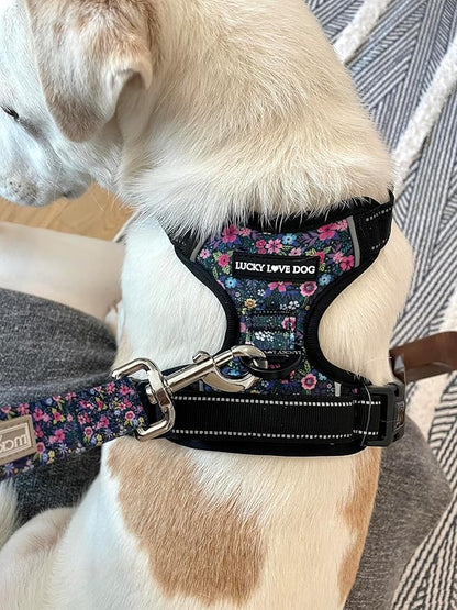 Lucky Love Dog No Pull Dog Harness, Adjustable and Easy to Walk, Cute Patterned Harness for Large Male & Female Dogs - Primrose, Large