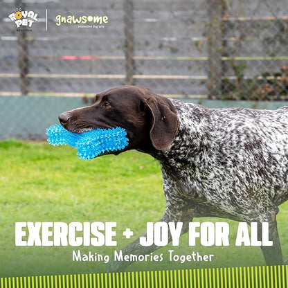 Gnawsome Dog Toys - Mega Squeaker Bone - Dental & Gum Wellness - Stimulating Fun - Hidden Squeaker - Durable for Heavy Chewers - 100% BPA-Free - Assorted Colors