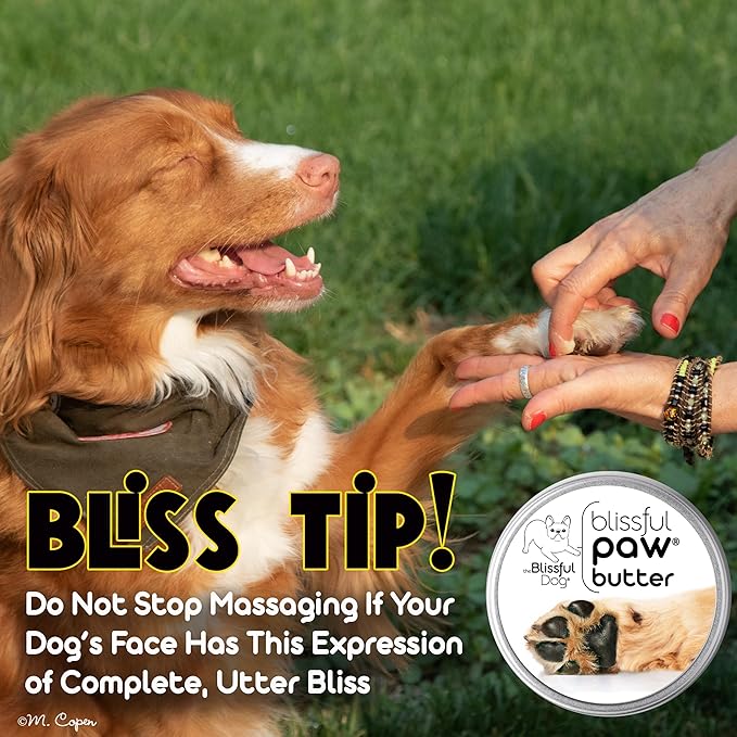 The Blissful Dog Paw Butter, Moisturizer for Dry Paw Pads, Softens and Protects a Rough Paw in Winter, Versatile, Lick-Safe Dog Paw Pad Balm
