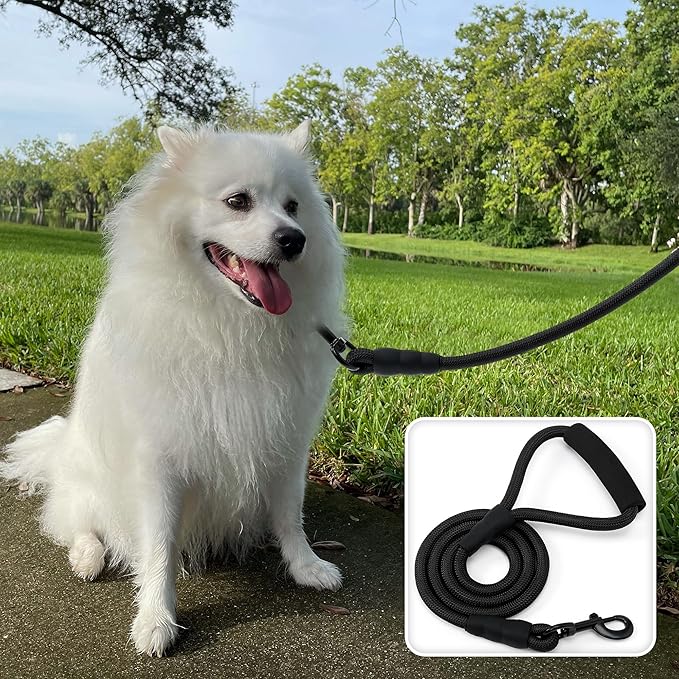 Mile High Life Dog Leash with Comfortable Padded Handle, Black Nylon Rope Leash, Heavy Duty 5 Feet Dog Leashes (Black)