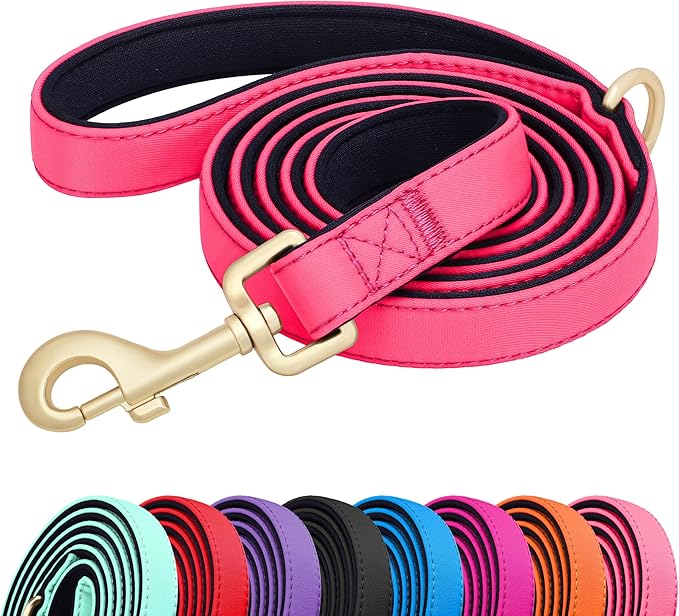 Didog 5FT Colorful Nylon Dog Leash with Soft Full-Length Padding, Lightweight and Durable Pet Leash for Small Dogs, Pink, S