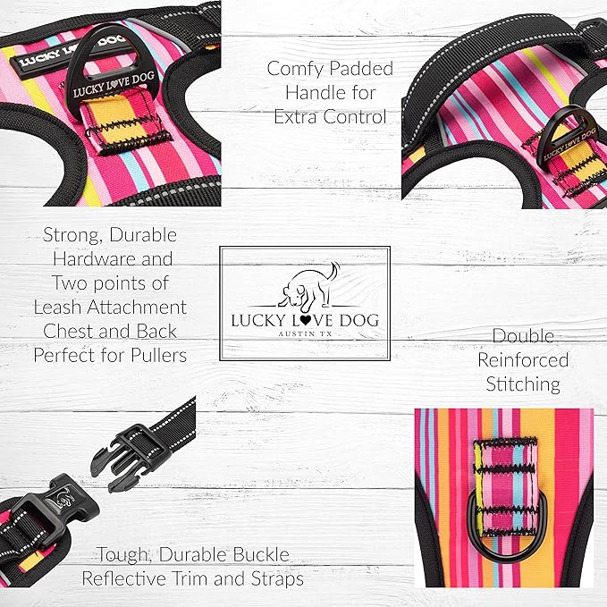 Lucky Love Dog No Pull Dog Harness, Adjustable and Easy to Walk, Cute Patterned Harness for SmallMale & Female Dogs - Molly, Small