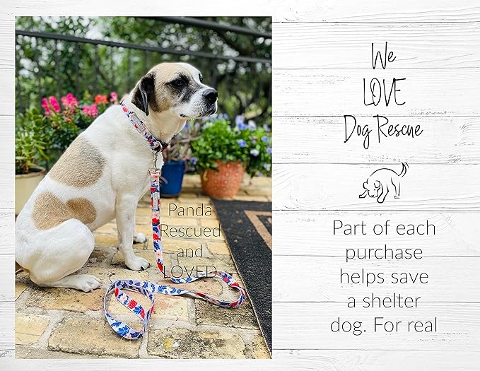 Lucky Love Dog Leash – Soft, Durable, and Comfortable Leash with Vibrant Patterns – Stylish and Long Lasting for Small Male and Female Dogs – Sweet Berry, Small