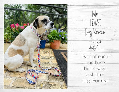 Lucky Love Dog Leash – Soft, Durable, and Comfortable Leash with Vibrant Patterns – Stylish and Long Lasting for Small Male and Female Dogs – Sweet Berry, Small