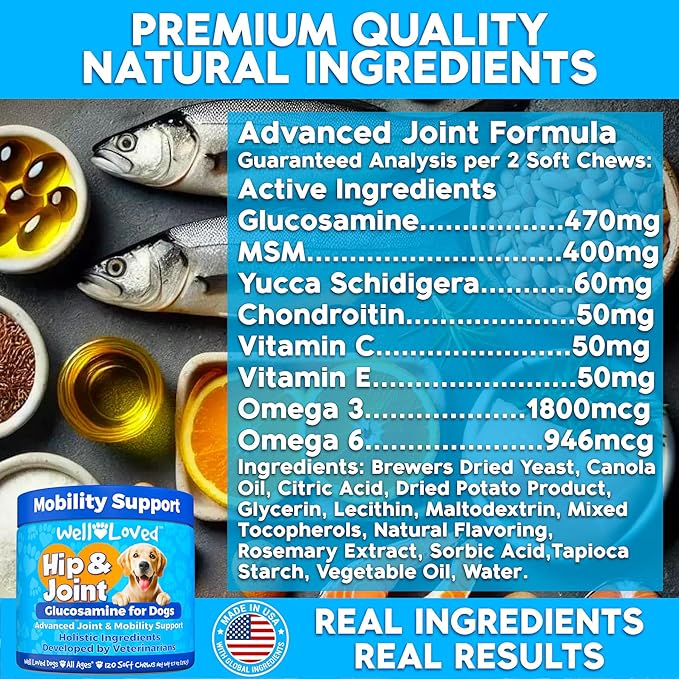 Well Loved Glucosamine for Dogs - Joint Supplement for Dogs, Made in USA, Vet Developed, Glucosamine Chondroitin, Hip and Joint Chews with MSM, Large Breed, Pain Relief, 120 Chews