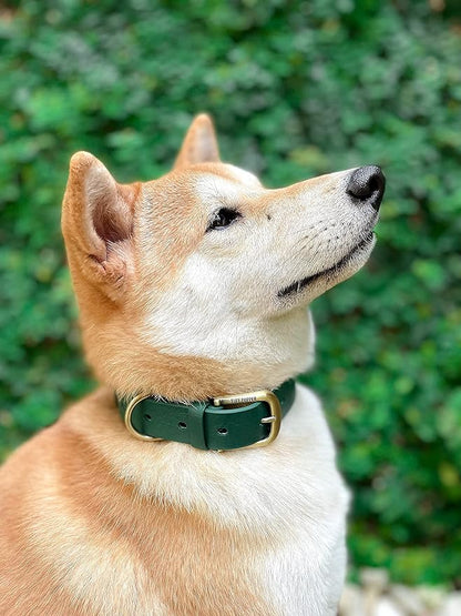 Tuff Pupper Classic Heavy Duty Dog Collar | 10x Stronger Than Leather | 100% Waterproof & Odor Proof Dog Collar | Tough Rust-Proof All Metal Hardware