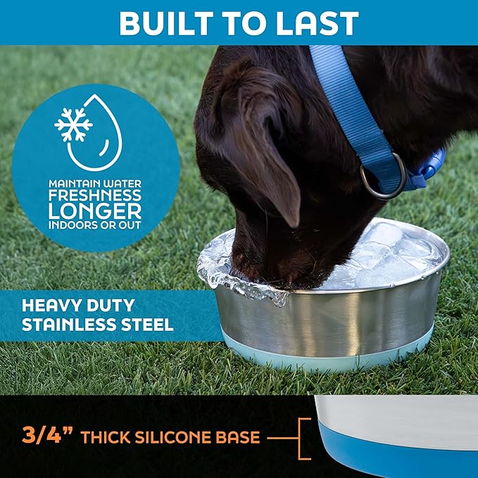 Master Pet Supply Stainless Steel Dog Bowls Set of 2 with Extra Thick Silicone Base - 4 Cup (32 oz) True Blue, Non-Slip, Dishwasher Safe Metal Bowls, Pet Dog Food Bowl for Dogs, Cats, Anti Rust
