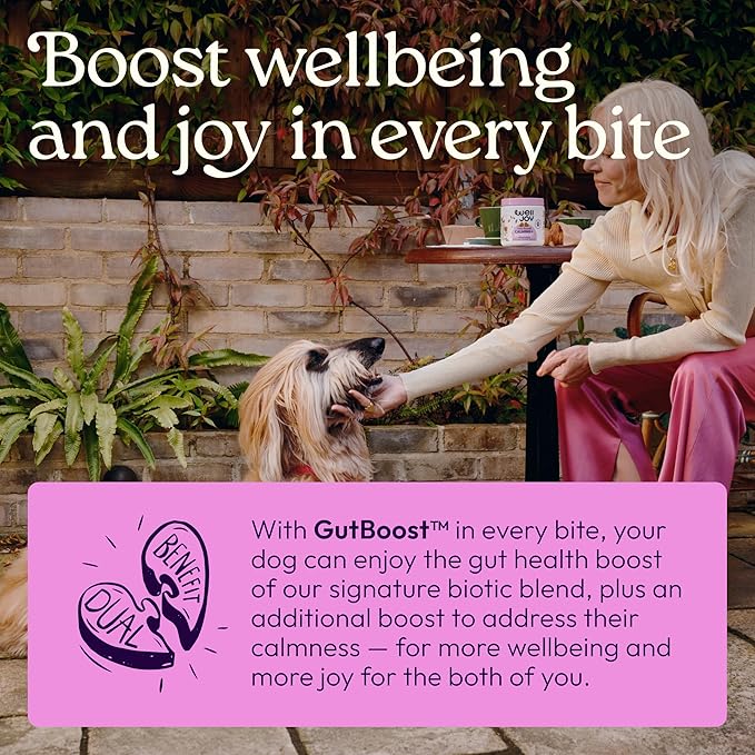 New! WellJoy Dog Supplement Calming+ GutBoost | Dog Health Supplement | Promotes Relaxation & Calmness | Dual-Benefit GutBoost Formulation | Vet Formulated | USA Made | Chicken Flavor | 90 Soft Chews