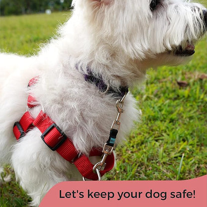 Gentle Creatures Collar Companion - Mini - Small Dogs Collar Backup Clip for Dog Harness, Prong, Pinch Collars, Gentle Lead - Double Ended Backup Clasp - Harness to Collar Safety Clip