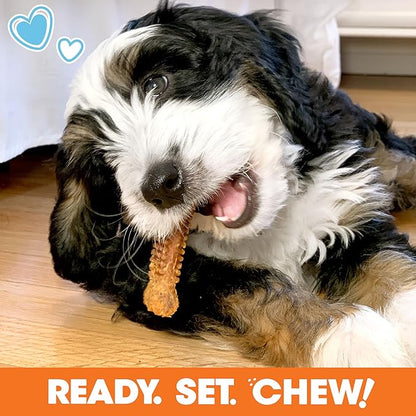 Nylabone Puppy Gift Box, Includes 3 Strong Puppy Chew Toys and 1 Natural Treat Bone for Puppies, Gifts for Puppies, Small Dogs - Up to 25 lbs., 4 Pack