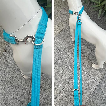 Dog Leash-Multifunctional Double Ended,for Obedience Training Or Distance Work Easy to Use,Lightweight,Soft&Durable Convertible Hands Free,Crossbody,Over Shoulder (Blue, 2M*2.5CM)