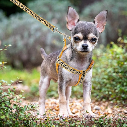 Mile High Life Leopard Dog Harness Collar Leash Set, Adjustable No Pull Dog Halter Harness for Small Breed Dogs, Easy Control for Training Walking (Yellow, S Chest 11"-18", Neck 10"-14")