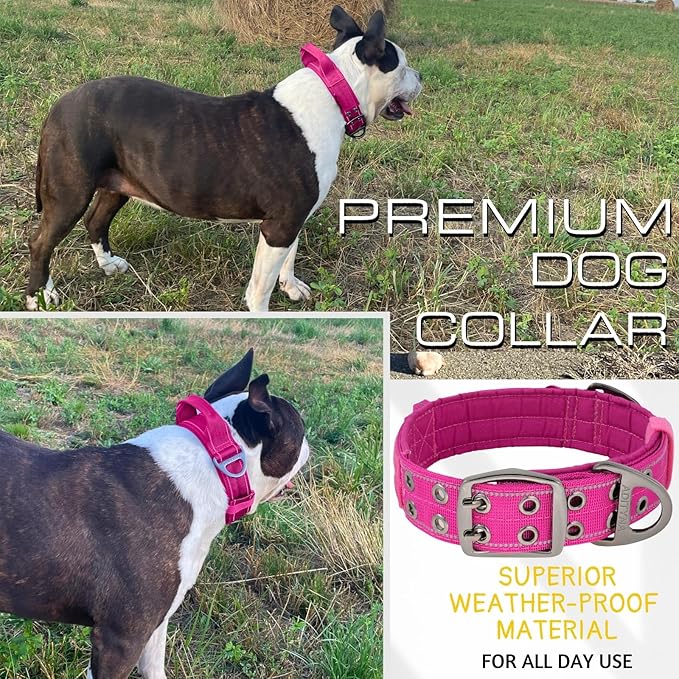ADITYNA Heavy Duty Dog Collar for Extra-Large Dogs - Reflective Magenta Collar with Handle for Training, and Walking - Wide, Thick, Tactical, Soft Neoprene Padded