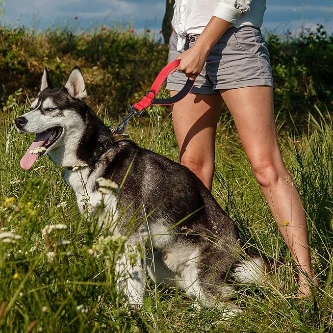 Dog Leash, Short Dog Leash, Leashes for Large Breed Dogs,Traffic Padded Handle- Reflective Training Lead, Perfect for Medium to Large Dogs(12 Inch, Red)