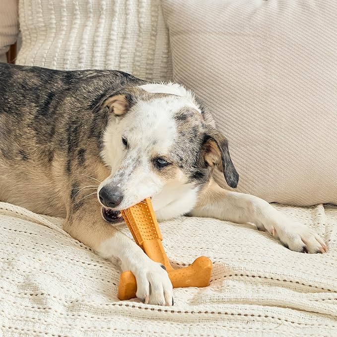 SPOT Bam-Bones Plus T Bone - Bamboo Fiber & Nylon, Durable Long Lasting Dog Chew for Aggressive Chewers – Toy for Dogs & Puppies Under 90lbs, Non-Splintering, 7in, Allergen Free Peanut Butter Flavor