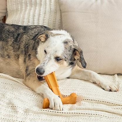 SPOT Bam-Bones Plus T Bone - Bamboo Fiber & Nylon, Durable Long Lasting Dog Chew for Aggressive Chewers – Toy for Dogs & Puppies Under 90lbs, Non-Splintering, 7in, Allergen Free Peanut Butter Flavor