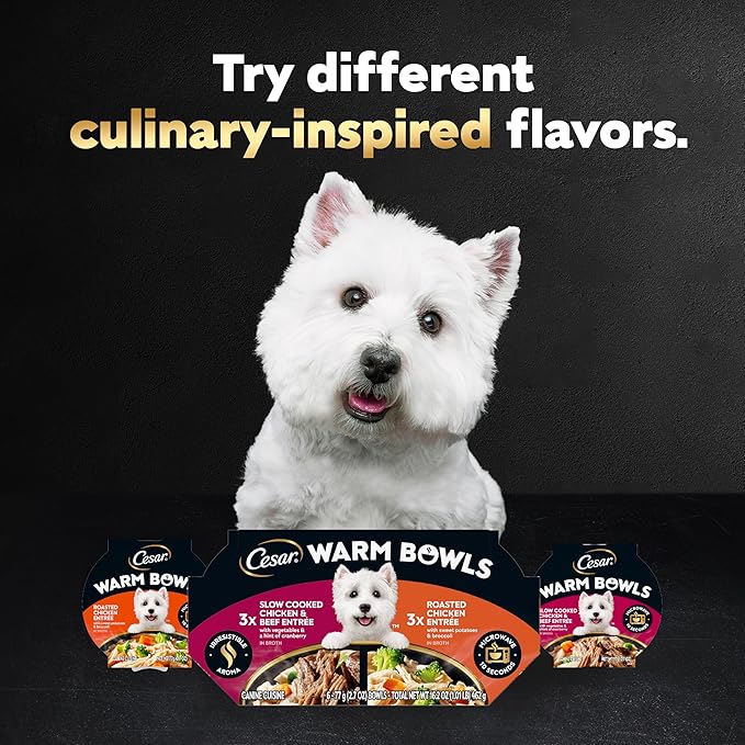 Cesar Warm Bowls Wet Dog Food Variety Pack: Chicken & Beef; and Chicken Entrees, Wet Food for Dogs, 2.7 oz Bowls, 6 Count (Pack of 2)