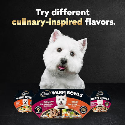 Cesar Warm Bowls Wet Dog Food Variety Pack: Chicken & Beef; and Chicken Entrees, Wet Food for Dogs, 2.7 oz Bowls, 6 Count (Pack of 2)