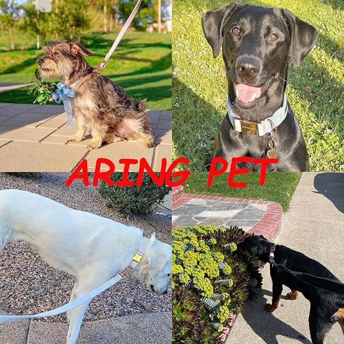 ARING PET Velvet Dog Collar and Leash Set, Bright Yellow Dog Collar and Leash, Adjustable Soft Collars for Dogs