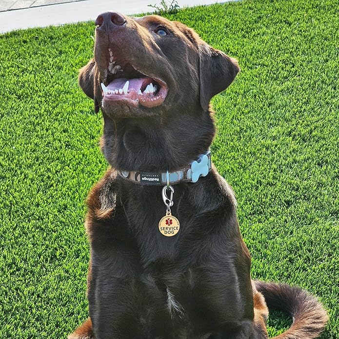 Leash King Service Dog Tag/ESA Animal Tag - Double Sided with Federal Protection & Red Medical Alert Symbol| Easily Attach to Collar, Harness, Vest | Service Dog Identification Tag
