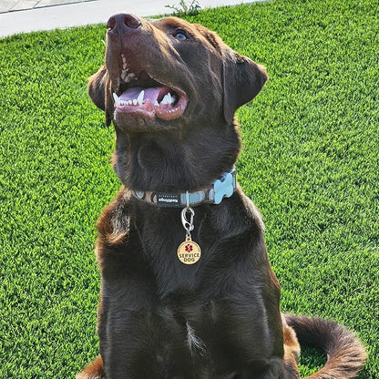 Leash King Service Dog Tag/ESA Animal Tag - Double Sided with Federal Protection & Red Medical Alert Symbol| Easily Attach to Collar, Harness, Vest | Service Dog Identification Tag
