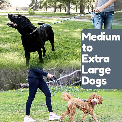 6 Foot Dog Leash, Two Extra Padded Handles, Locking Carabiner Clip, Reflective for Night Visibility, Weatherproof, Heavy Duty Rope Leash, Roam Gear (Blue)