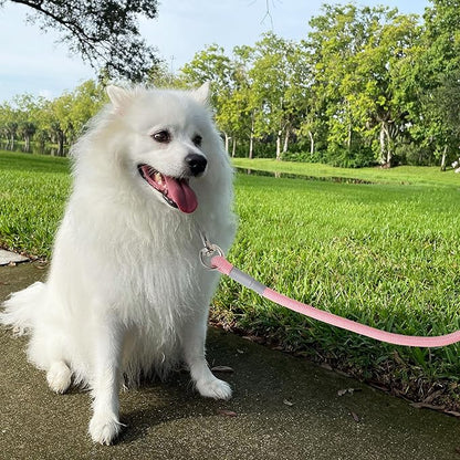 Mile High Life Dog Leash, with Comfortable Padded Handle, Pink Nylon Rope Leash with Steel Tips, Heavy Duty 6 Feet Pet Leashes (Pink,72 Inches)