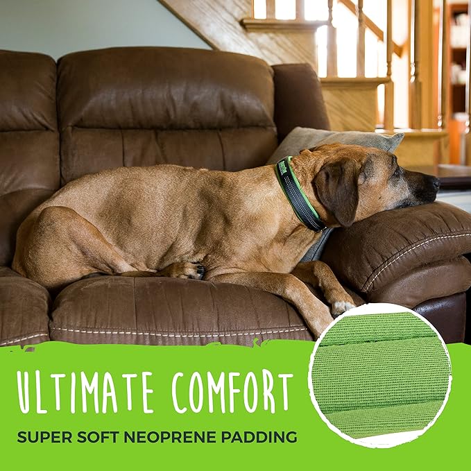 Mighty Paw Ultra Soft Dog Collar - All-Metal Adjustable Buckle for Large and Small Dogs - Super Soft Neoprene Padding for Ultimate Comfort - Heavy-Duty Hardware for Long Lasting Durability