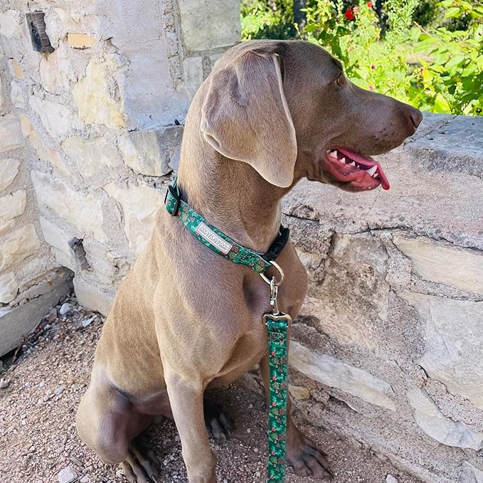 Lucky Love Dog - Adjustable Dog Collar with Easy Click Holly for Medium, Durable, & Comfortable for Male & Female Dogs, Pet Collar for Puppies & Adult Dogs - Holly, Medium