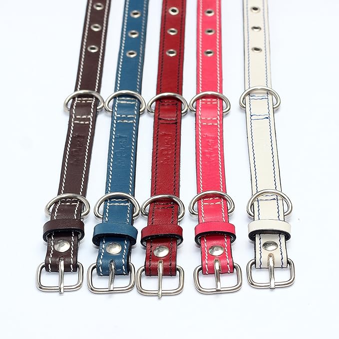 Premium Leather Collars with Stainless Steel Buckles (9"-12", Chocolate)
