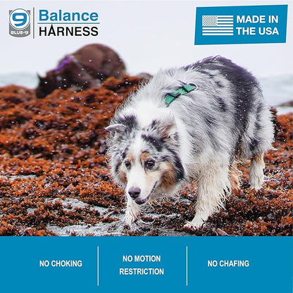 Blue-9 Buckle-Neck Balance Harness, Fully Customizable Fit No-Pull Harness, Ideal for Dog Training and Obedience, Made in The USA, Hunter Green, Large