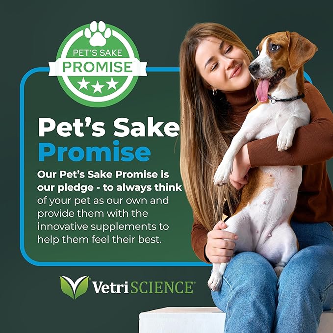 VetriScience Veterinary Strength Gut Health Powder - Gut Health Supplement for Pets - Immunity Support - Pet-Friendly Probiotic Powder - Tasteless & Odorless - 60 Servings