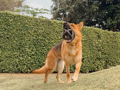 Tuff Pupper SuperChewer Extremely Tough Cage Ball for Dogs | 2X Tennis Ball Size | Natural Rubber | Tough Toy for Aggressive Chewers | Heavy Duty for Medium Large Breed | Strong but NOT Indestructible